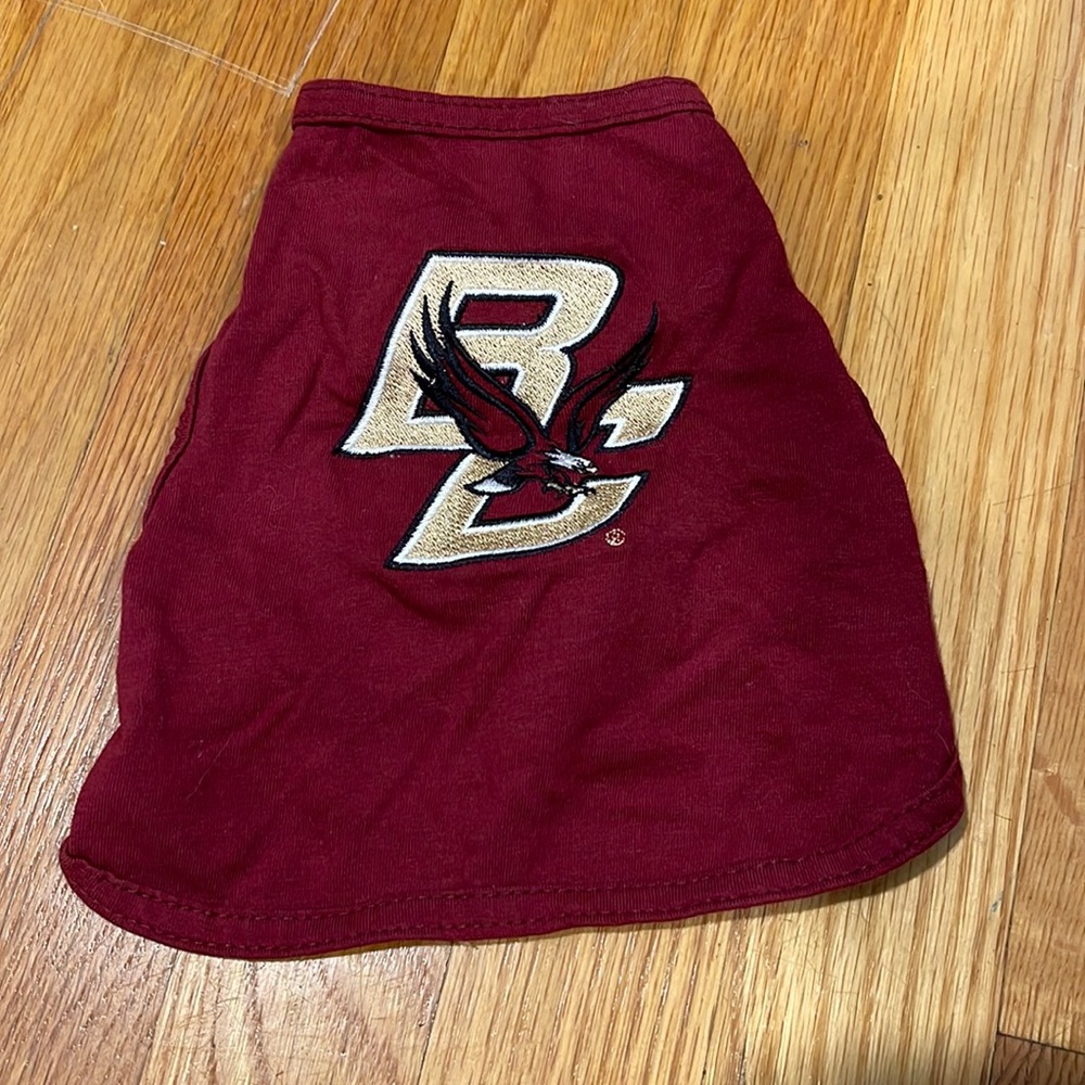 ALL STAR DOGS BOSTON COLLEGE top